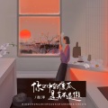 赵洋 - 你口中的傻瓜是真不是假