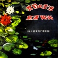郑绪岚 - 太阳岛上