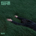 张永平 - 殇