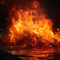 Naturaleza 101、Sonidos de fuego de la naturaleza chisporroteante、Concentracion Examenes - Noche Calma De Concentración En El Fuego