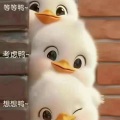 陈培泉 - 不虞