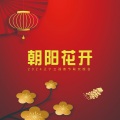胡海泉、高进 - 朝阳花开