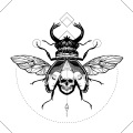 Dedo - Adb