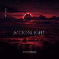 Davit Barqaia - Moonlight