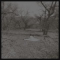 Far from Away - E.D.D