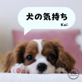 Kai - てくてく散歩