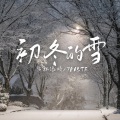 初冬的雪