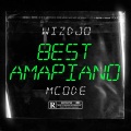 Wizdjo、M-Code - BEST AMAPIANO Vol10 (feat. M-CODE) (Best of South African Music / 2024 Amapiano Type Beat)