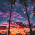 朱首全 - 江湖流