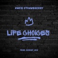 Life Choices (Remix)