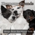 Pet Sandman、Dog Relaxation、Calming for Dogs - Dreamy Moments: Soothing Repose