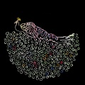 Iron、Wine - Naked As We Came