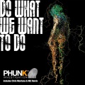 Do What We Want To Do (P.I. Does The Mix)