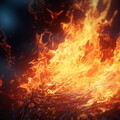 Warm Ember for Cats: Soothing Fire Tunes
