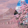 Cerezos Llorones para Meditación y Relajación