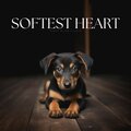 Softest Heart