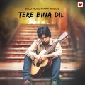 Bollywood Pyaar Music - Tere Bina Dil