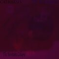 Confabulist