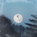 Moontock、40K - MOON N BACK