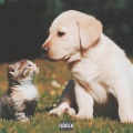 catz n dawgz (feat. Ken the Misfit)(Explicit)