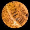 Sub Sequence (SYEP022)