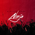 DjSunnyMega - Ninja