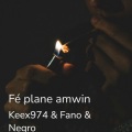 Fé plane amwin