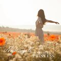 To Rescue A Princess