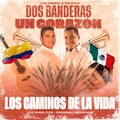 Los Caminos De La Vida (Regional Mexicano)