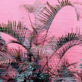 Alexfurty、Dluiset - Mushrooms