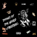 things of the world (Freestlye) (Explicit)