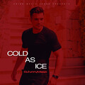 DjSunnyMega - Cold as Ice