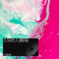 刘姗婷 - 爱的谎言