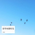 云琛 - 沉香