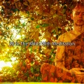 38 In The Wilds With Meditation