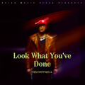 DjSunnyMega - Look What You've Done