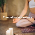 Chakra Balancing Sound Therapy、Radio Zen Music、Kundalini - Calm Waterside Echoes