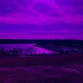 $DG、Stacy Griffin、IIIMGHOST - Views (Explicit)