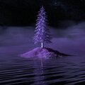 Dolo Shii ( Fast N’ Slowed ) [Explicit]