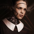 Himanshu Haldwani、Davuiside、Payin' Top Dolla - Robot