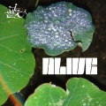 Bruise - Alive