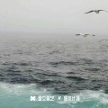 M.R.Y麦尔彦 - 2024优美旋律Vo.31
