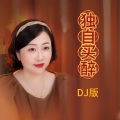 独自买醉 (DJ女声版)