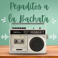 Pegaditos a la Bachata
