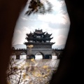 Serryisme - 渡月桥
