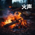 壁炉中燃烧的柴火 (循环, 重复播放，无淡入淡