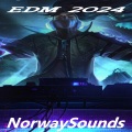 EDM 2024 (1) [Explicit]