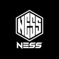 Ness、Toann - Em Không Thương Anh (Beat) (- Remix)