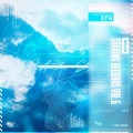 SOARING RECORDS Vol.5 Another Sky (Soaring Records五周年专辑)