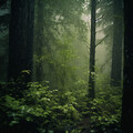 Colectivo Binaural Épico、Príncipe de la lluvia、Relajarse en la Naturaleza - Cadencia De Lluvia Relajante Binaural
